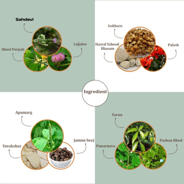 payolax syrup ingredients