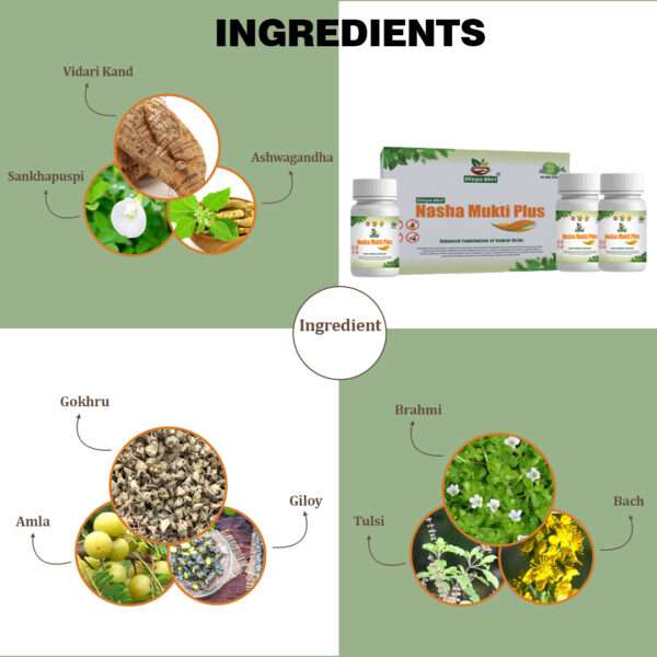 Nasha mukti plus powder ingredients