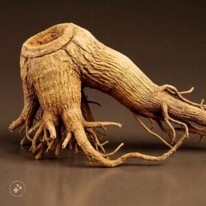 Ginseng: