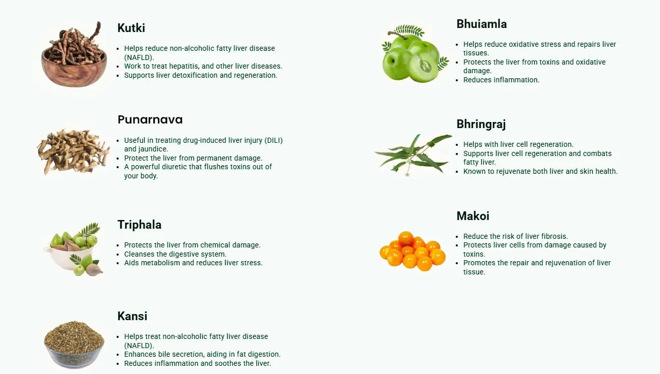 KEY INGREDIENTS