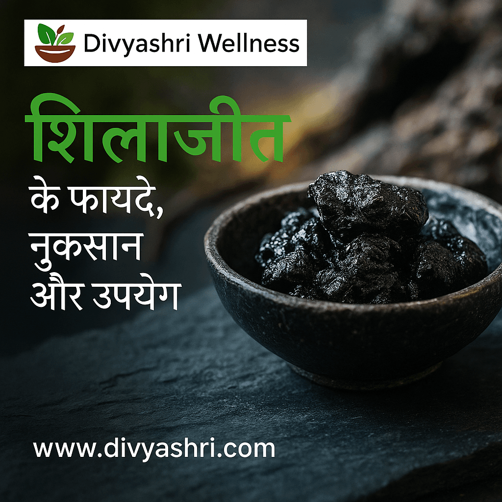 shilajit tablet
