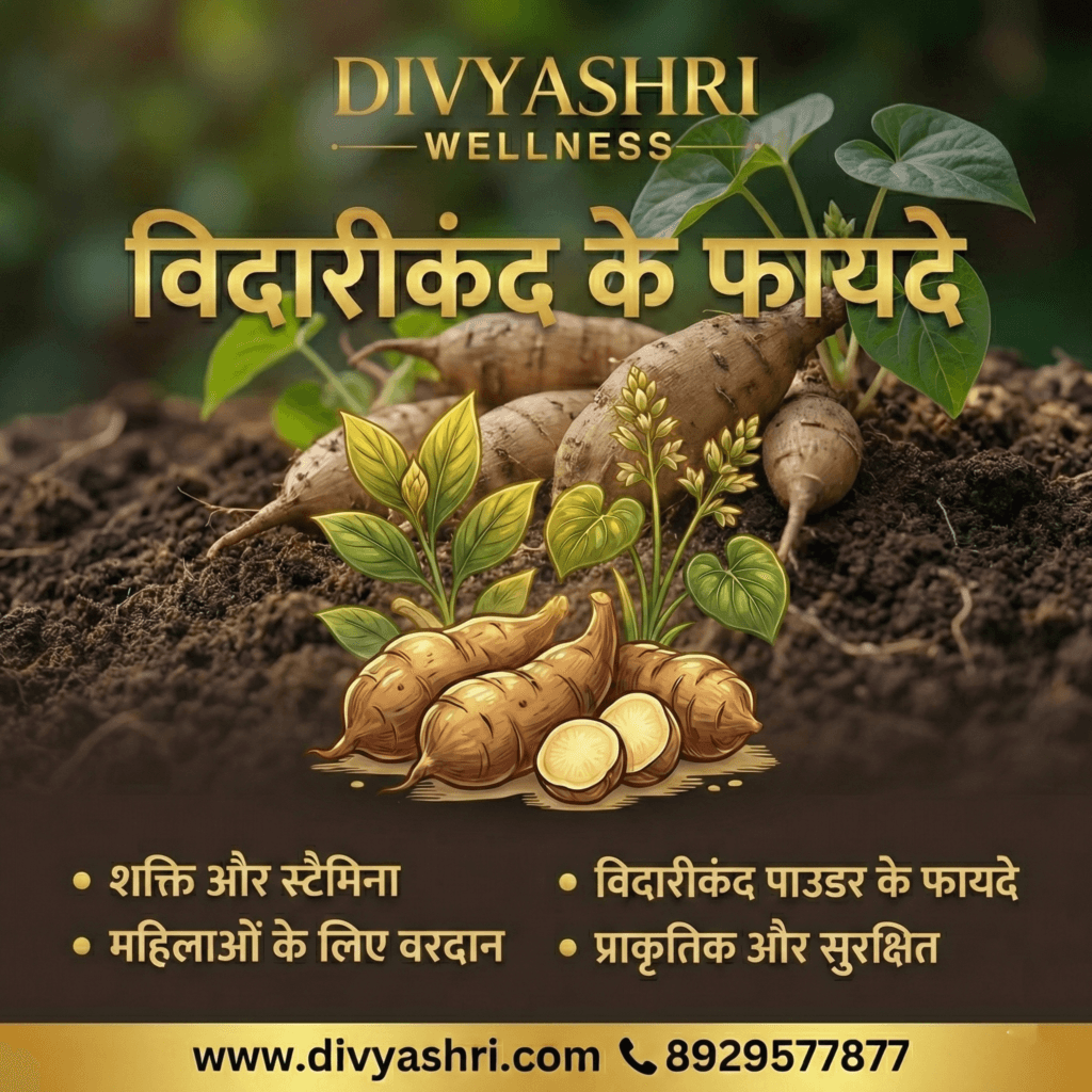 विदारीकंद के फायदे