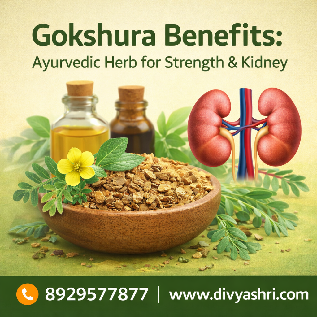 gokshura benefits