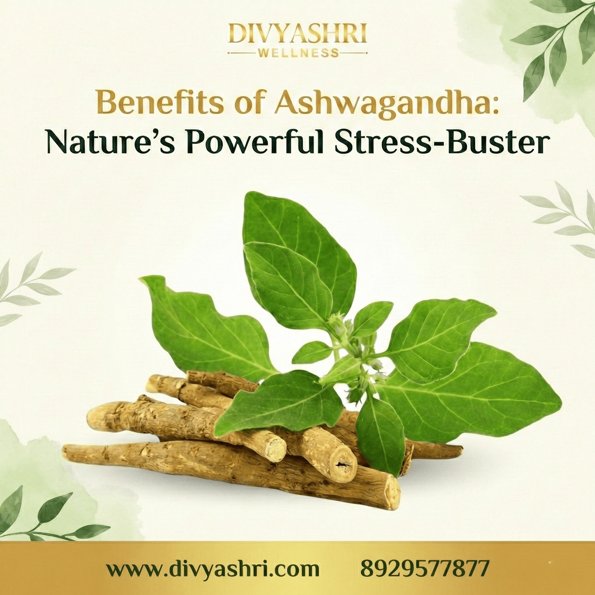 benefits of ashwagandha