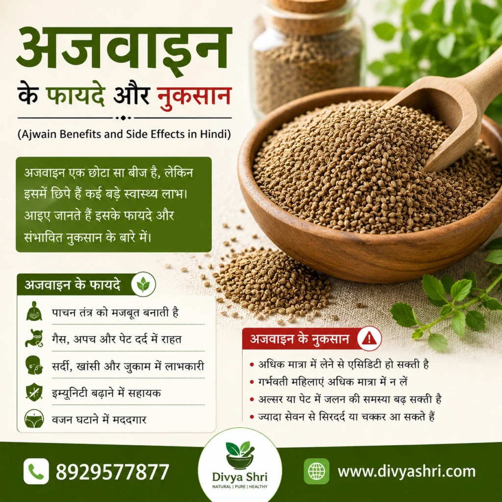 अजवाइन के फायदे और नुकसान