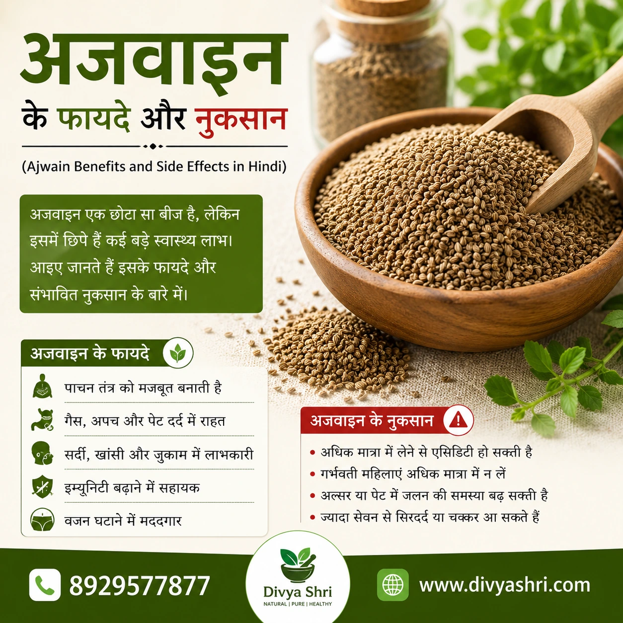 अजवाइन के फायदे और नुकसान