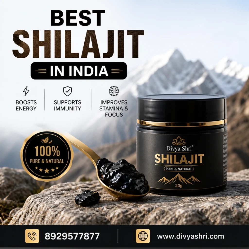 Best Shilajit in India