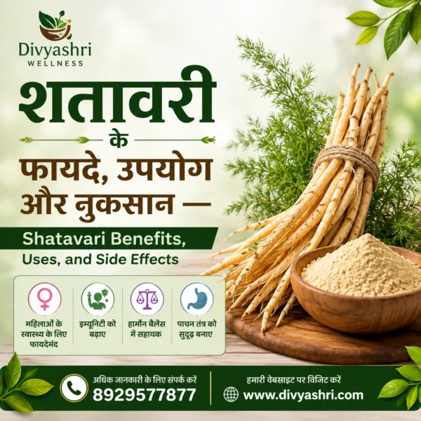 शतावरी के फायदे, उपयोग और नुकसान — Shatavari Benefits, Uses, and Side Effects