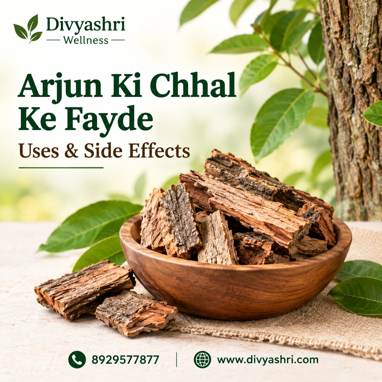 Arjun Ki Chhal Ke Fayde,