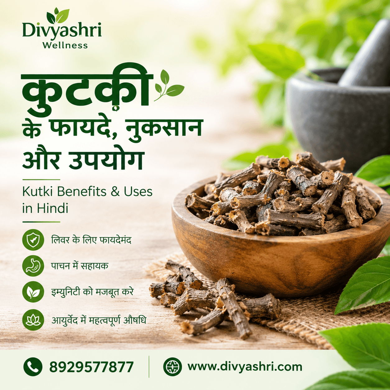 कुटकी के फायदे, नुकसान और उपयोग | Kutki Benefits & Uses in Hindi